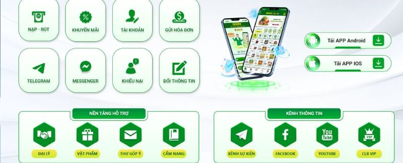 Liên hệ nhà cái