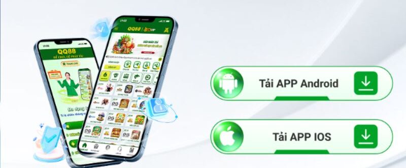 Liên hệ với email và hotline