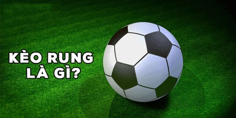 Một số thông tin về kèo rung