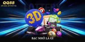 Bạc nhớ là gì